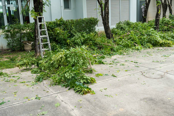 Best Tree Trimming and Pruning  in Jones Creek, TX